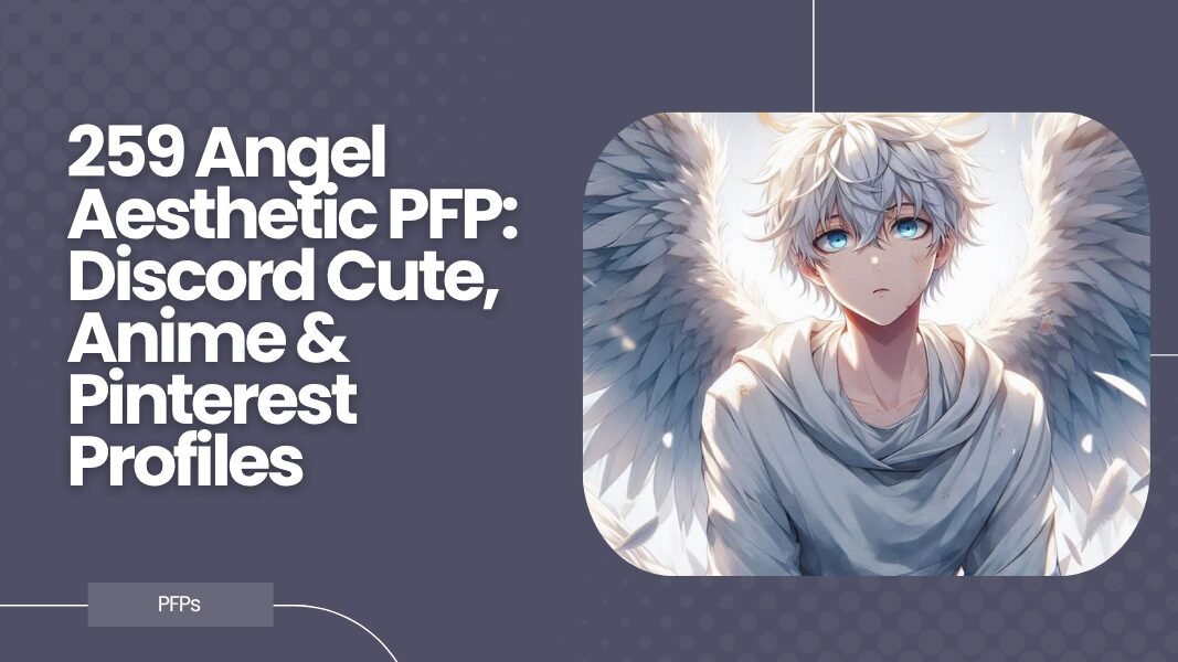 Angel Aesthetic PFP