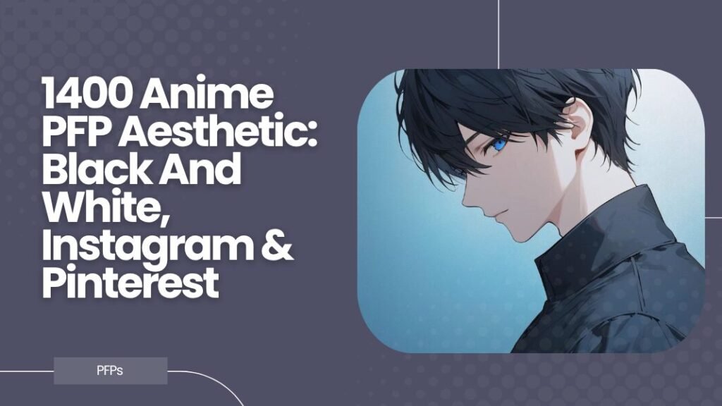 Anime PFP Aesthetic