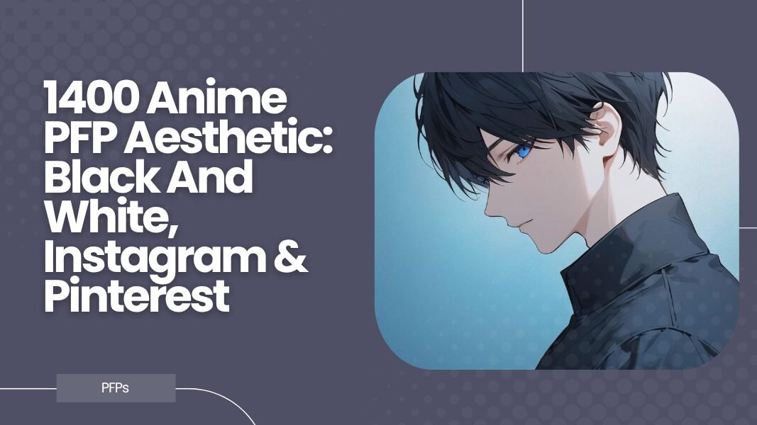 Anime PFP Aesthetic
