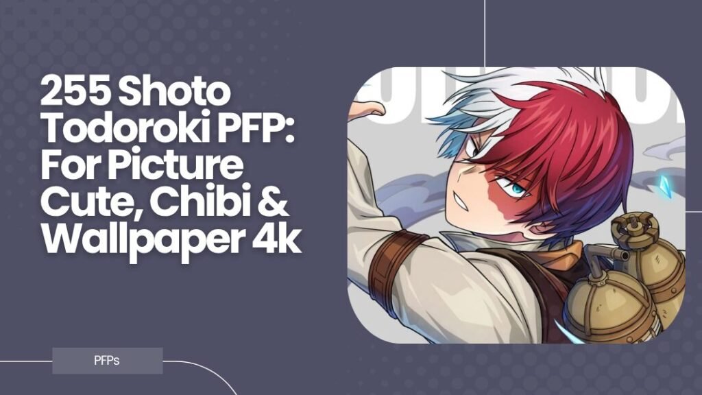 Shoto Todoroki PFP