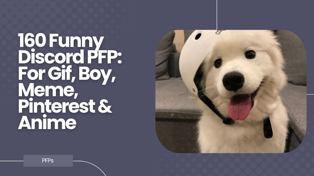 Funny Discord PFP