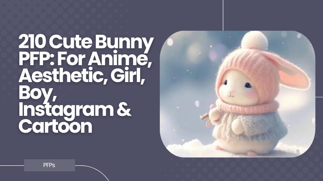 Cute Bunny PFP