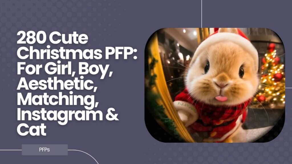 Cute Christmas PFP
