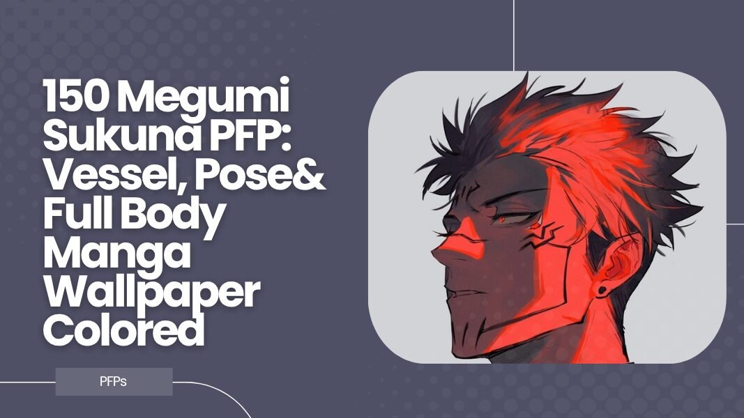 Megumi Sukuna PFP