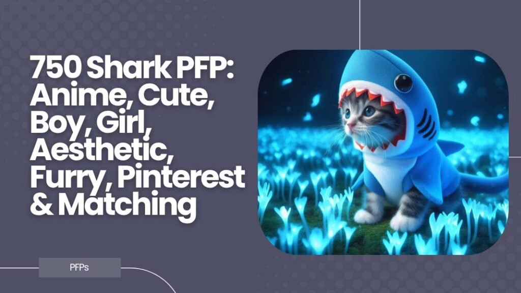 Shark PFP