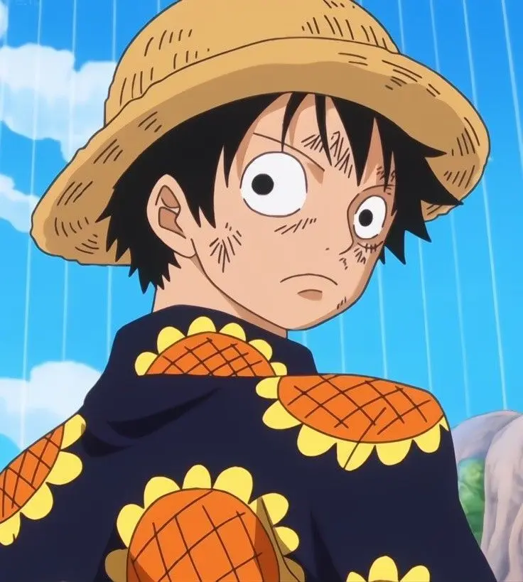 Cool Luffy PFP