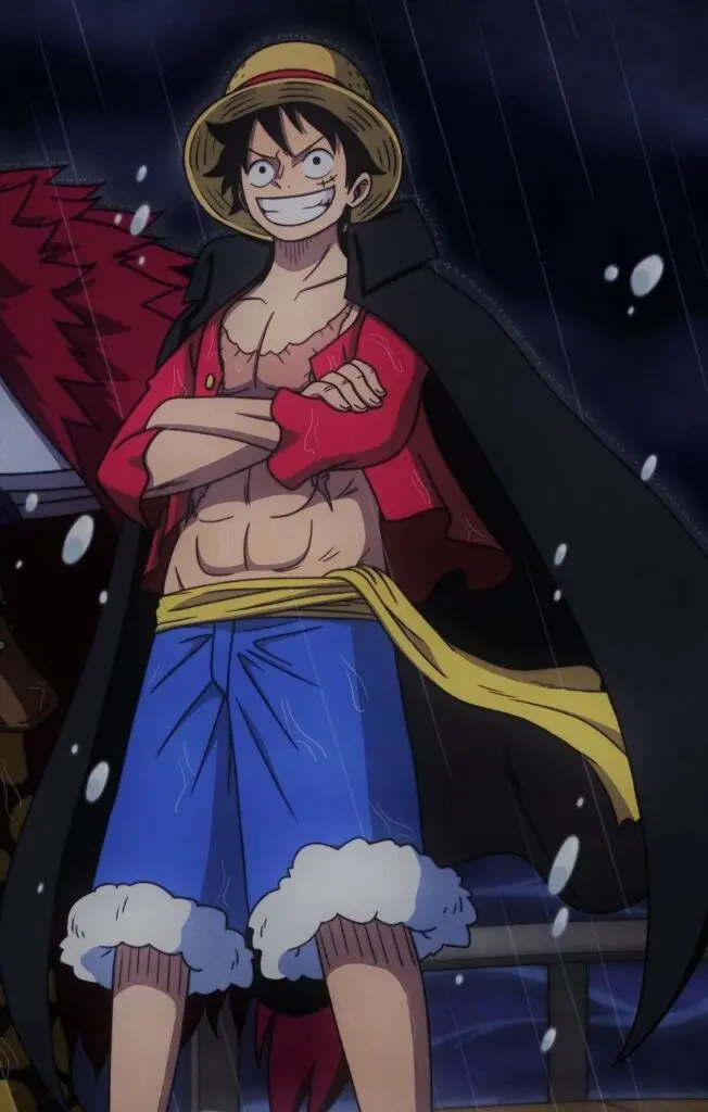 Cool Luffy PFP
