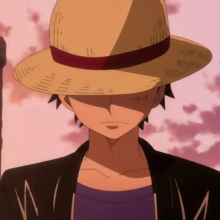 Cool Luffy PFP