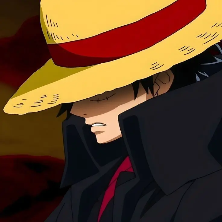 Cool Luffy PFP