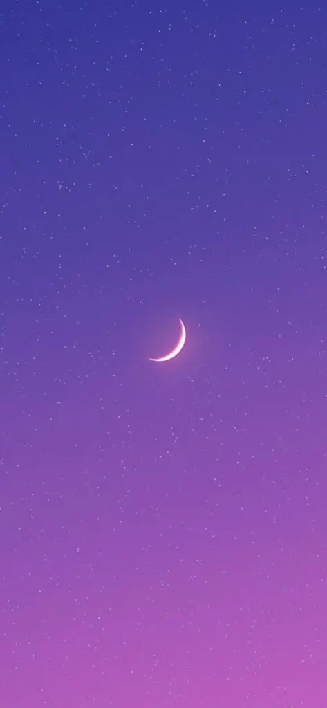 Purple Moon Pfp