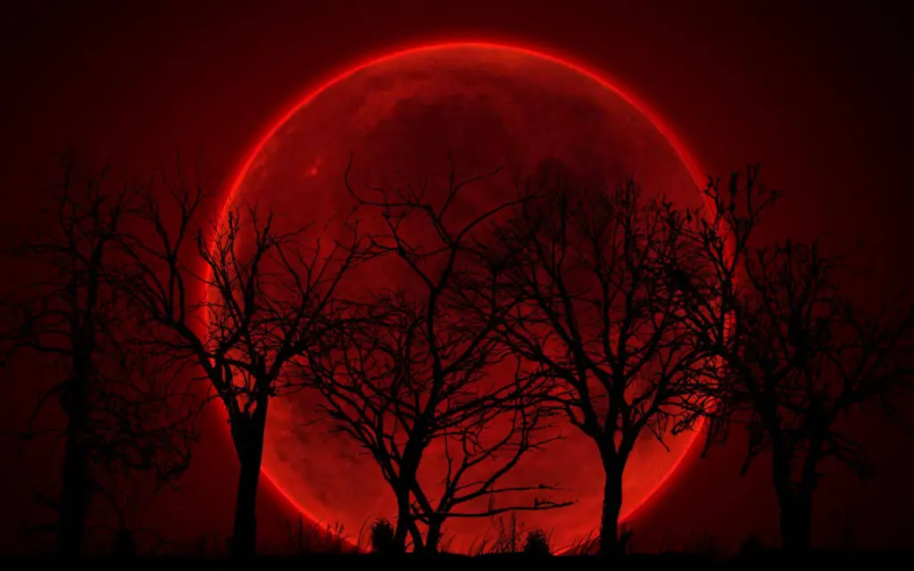 Moon PFP
