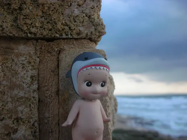 Shark Sonny Angel Pfp