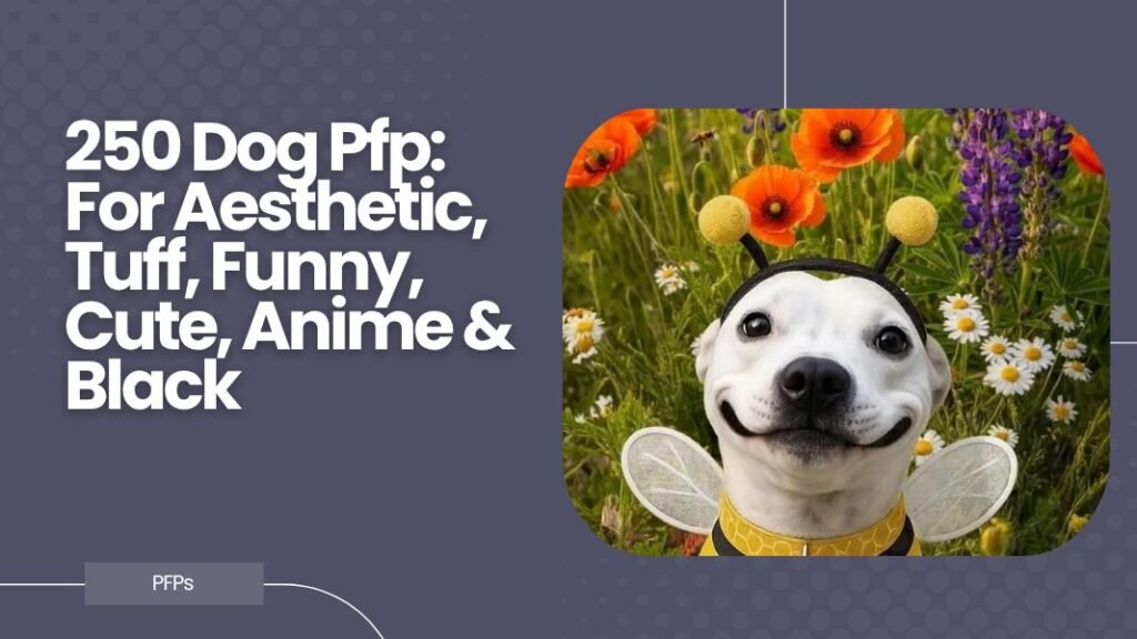 Dog Pfp