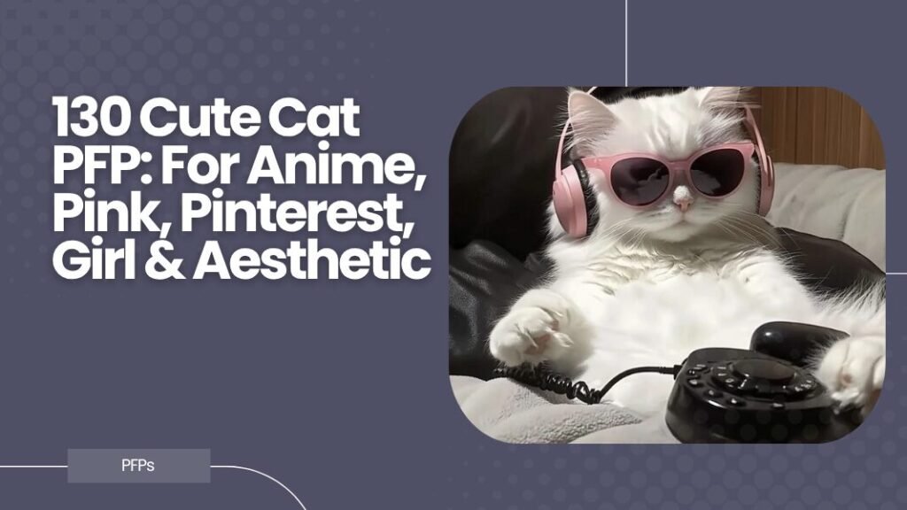 Cute Cat PFP