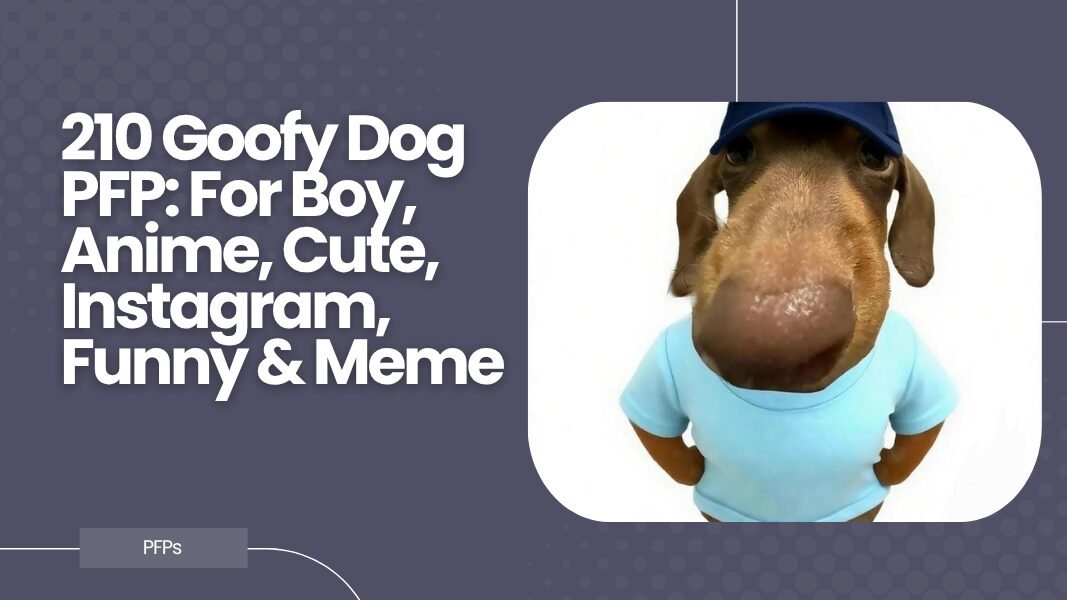 Goofy Dog PFP