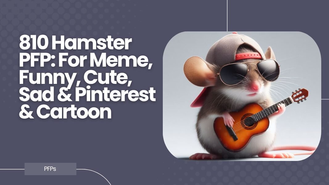 Hamster PFP