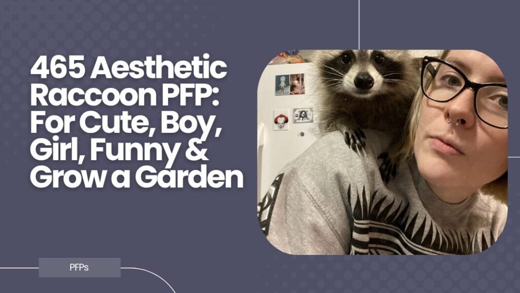 Aesthetic Raccoon PFP