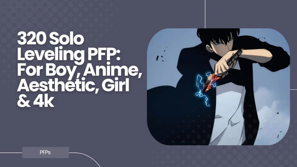 Solo Leveling PFP