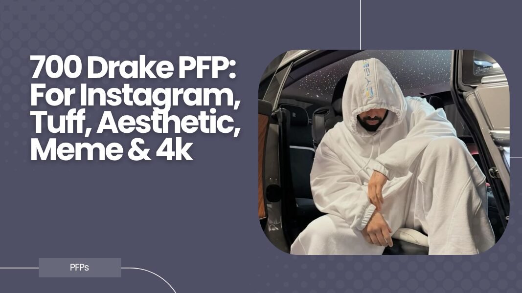 Drake PFP