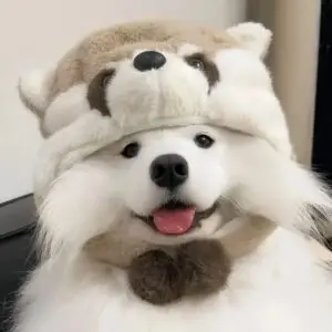 Cute Emo Femboy Pfp
