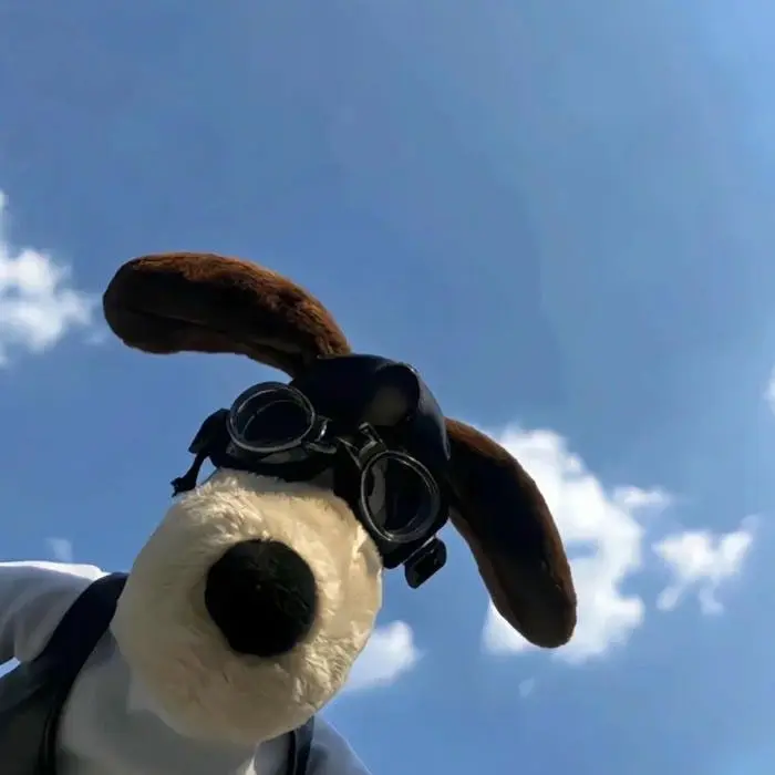 Cute Preppy Dog Pfp
