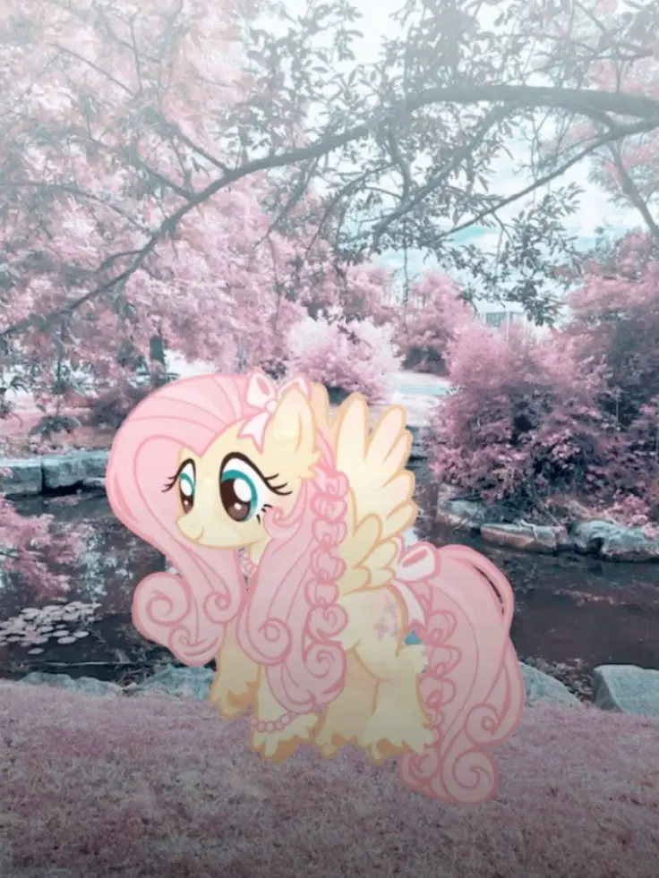 Fluttershy PFP
